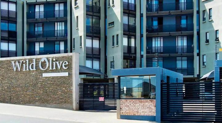 Wild Olive 3 at Grove