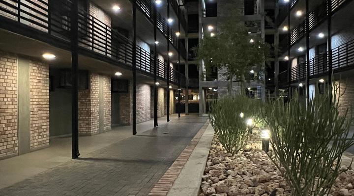 Wild Olive 3 at Grove