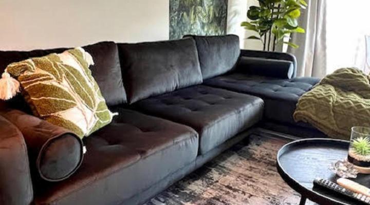 Wild Olive 3 at Grove