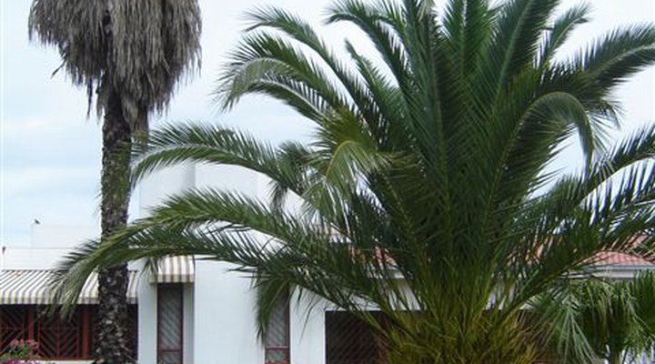 Arabian Nite Guest House