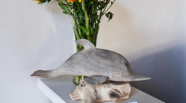 Cycads on Sea Guest House