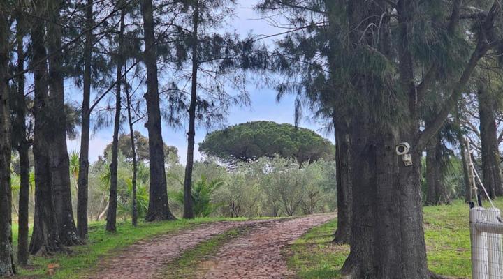 Belcharto Accommodation