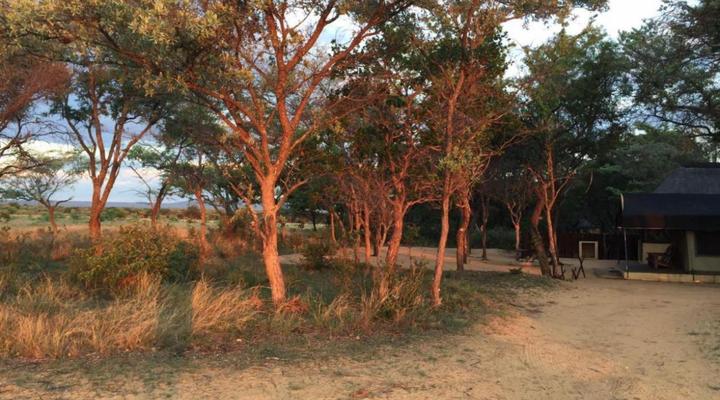 Limpopo Bushveld Retreat Private Campsite