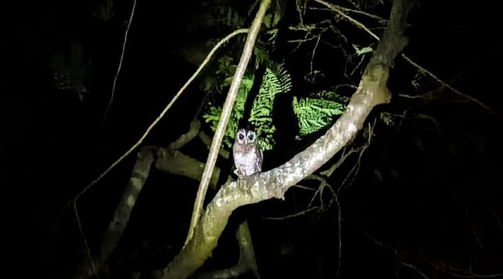 Linvale Country Lodge