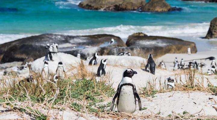 Rocky Beach Holiday Lets