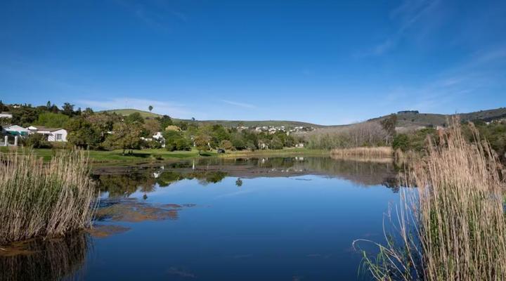 The Regiment - 12 Sleeper