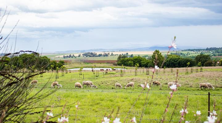 Drakensview Self-catering