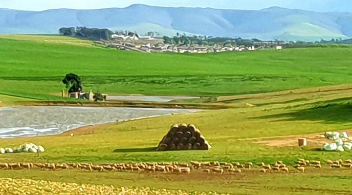 Kelkiewyn Guest House Caledon