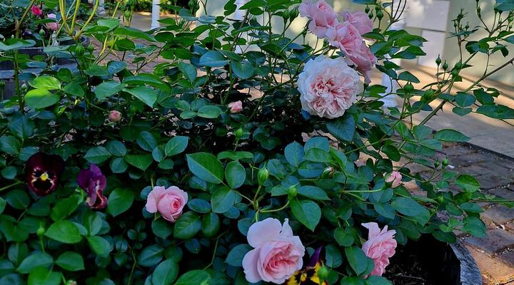 La Rochelle Guesthouse