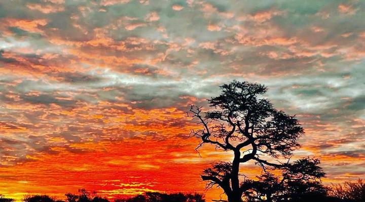 Gamagara Africa Private Nature Reserve