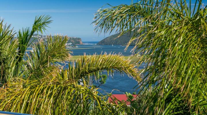 Guesthouse The Lazy Lion