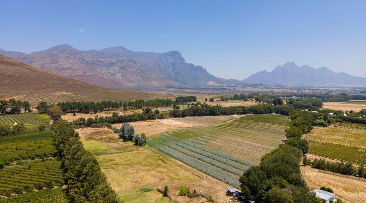 Franschhoek Homestead Cottage