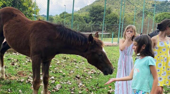 House 29 Doornkop Fish and Wildlife Reserve