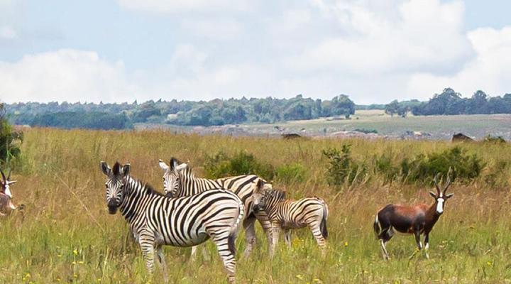 House 29 Doornkop Fish and Wildlife Reserve