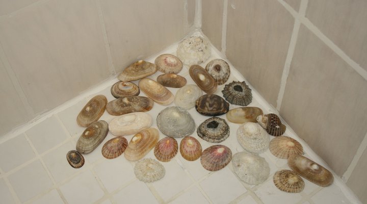 A Seaside Place @ Long Beach 