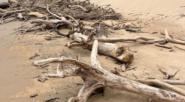 Mazeppa Sunrise Beach Accommodation