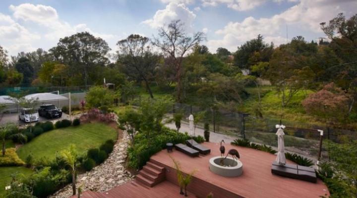 Dynasty Forest Sandown Accommodation