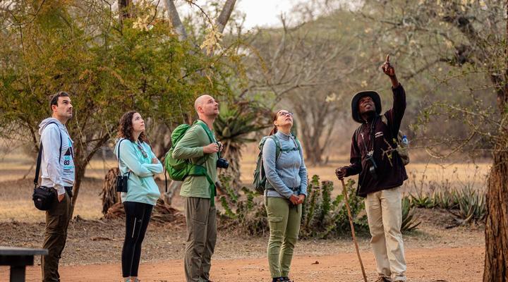 Hlane Royal National Park