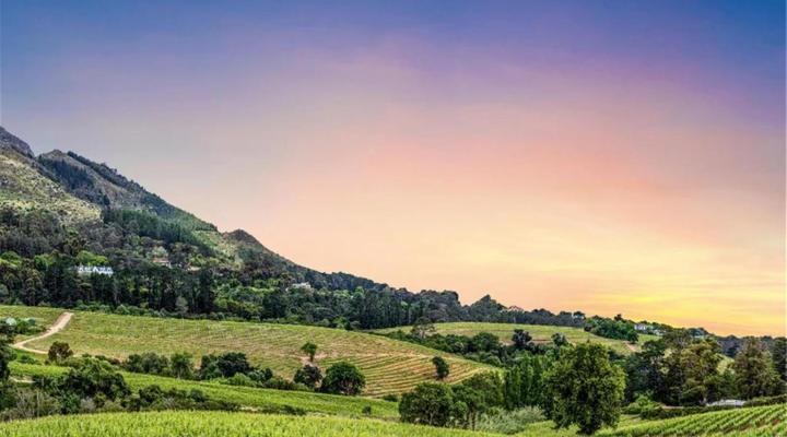 Constantia Winelands Lodge