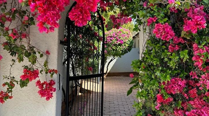 Bagley Terrace 136 Cottage