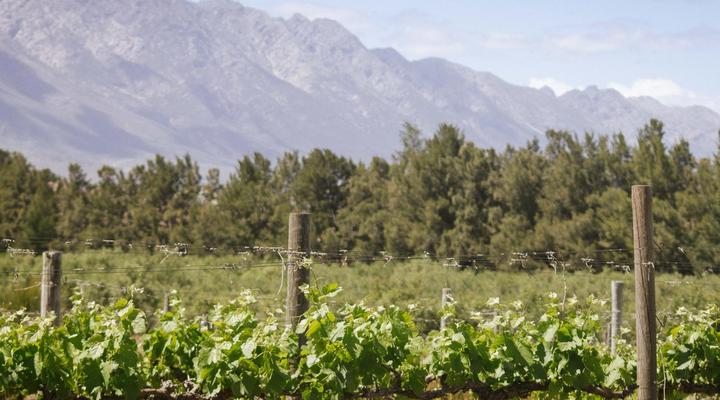 Duikersdrift Winelands Country Escape