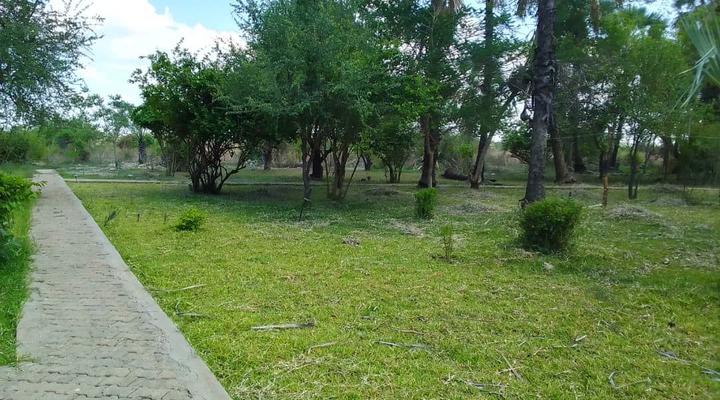 Royal South Luangwa Safaris Lodge