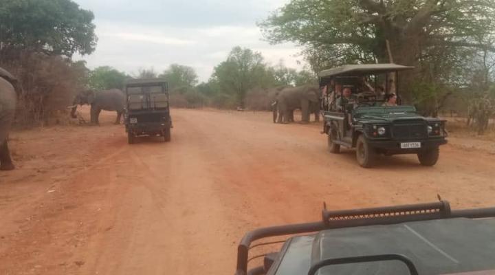 Royal South Luangwa Safaris Lodge