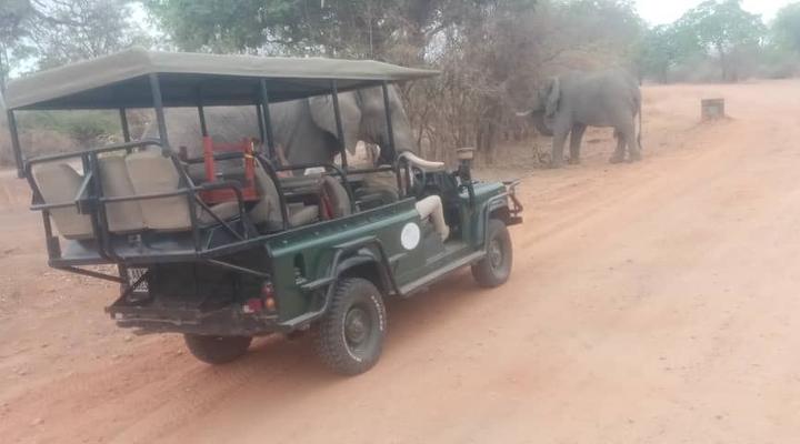 Royal South Luangwa Safaris Lodge