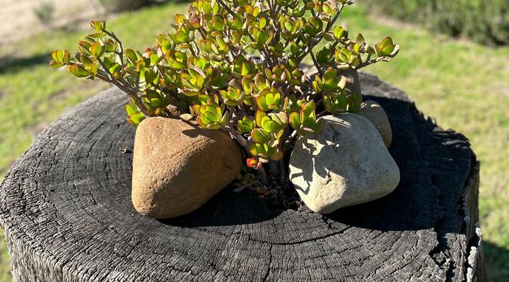 Lauradale Accommodation