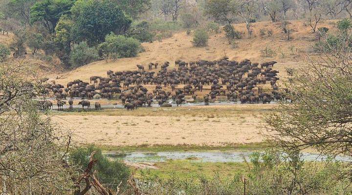 Marloth Kruger View