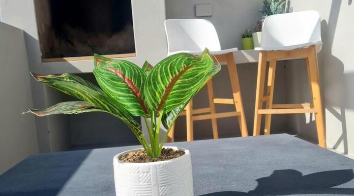 Unwinding Mossel Bay