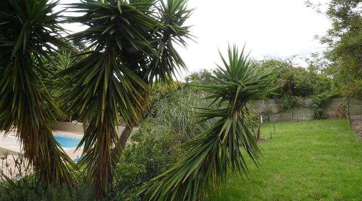 Kokon Boutique Guesthouse