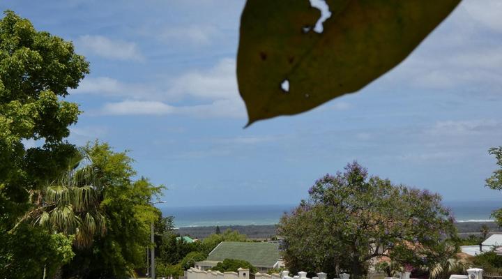 Kokon Boutique Guesthouse