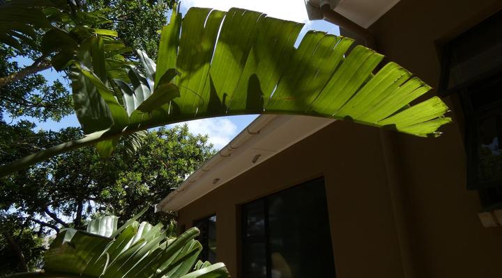 Kokon Boutique Guesthouse