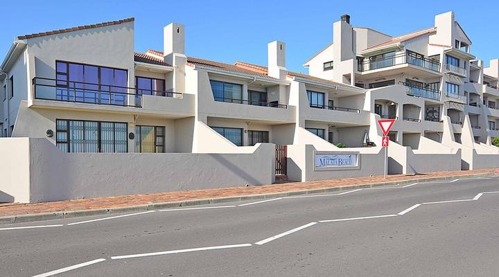 Beach Daze and Waves