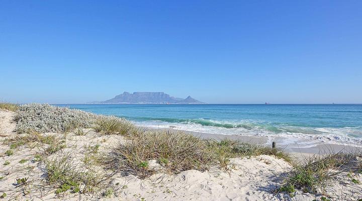 Beach Daze and Waves