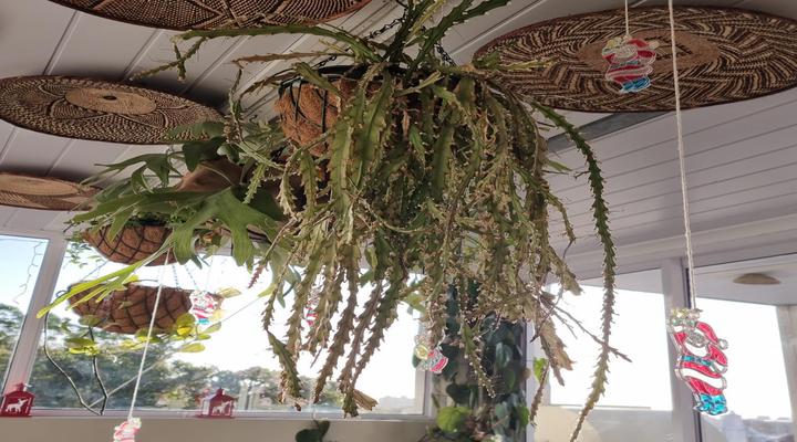 Leeuwenzee Guest House