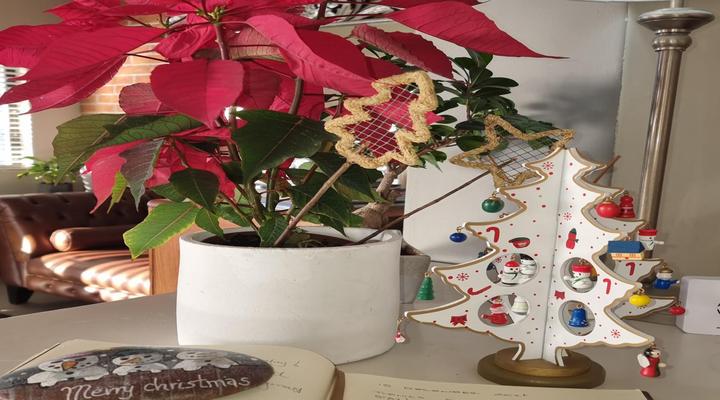 Leeuwenzee Guest House