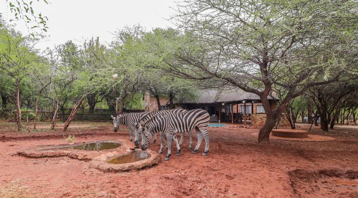 Genet House Holiday Home