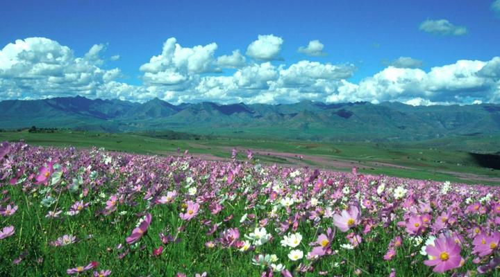 Malealea Lodge & Pony Trek Centre