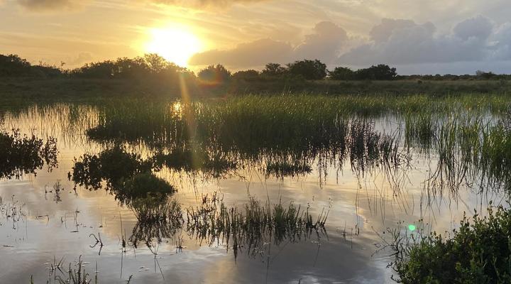 Zoetvlei Wildlife Estate