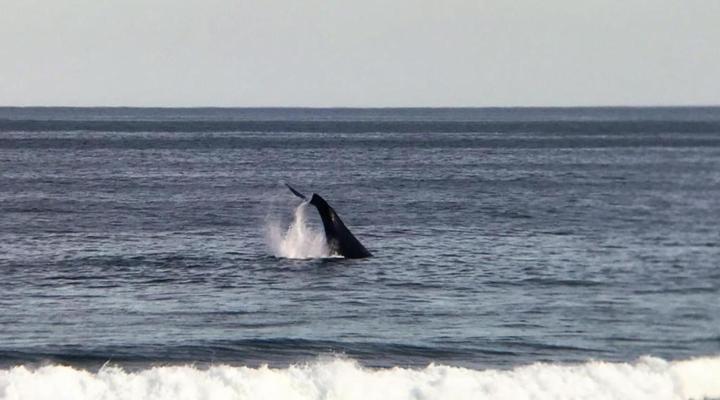 Far Niente Beachfront Guesthouse