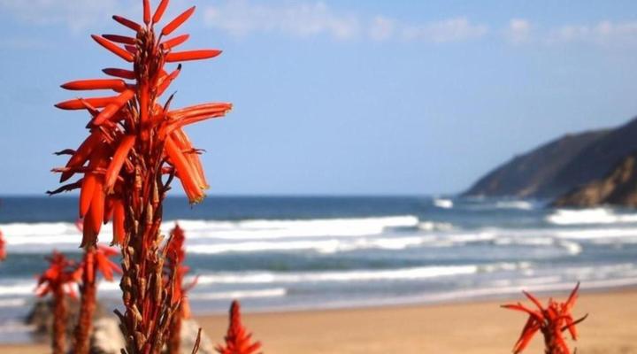 Far Niente Beachfront Guesthouse