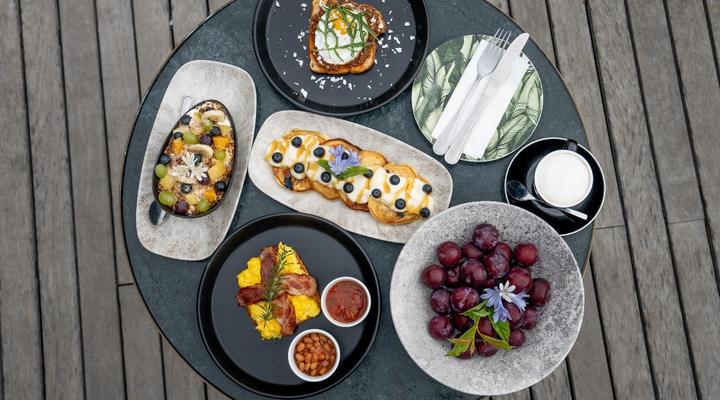 Brenaissance Wine & stud Estate