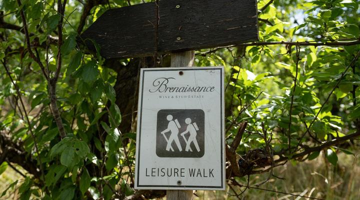 Brenaissance Wine & stud Estate