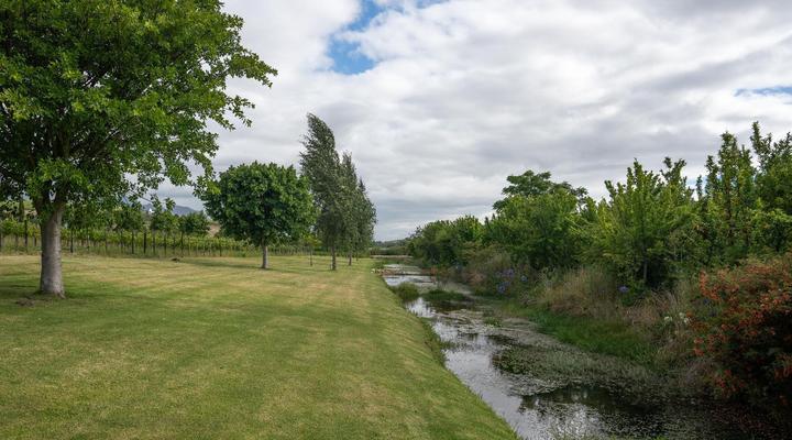 Brenaissance Wine & stud Estate