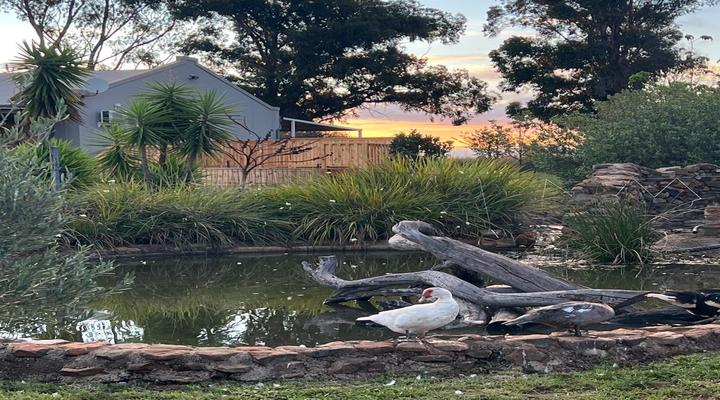 Sanctuary Life Guest Farm