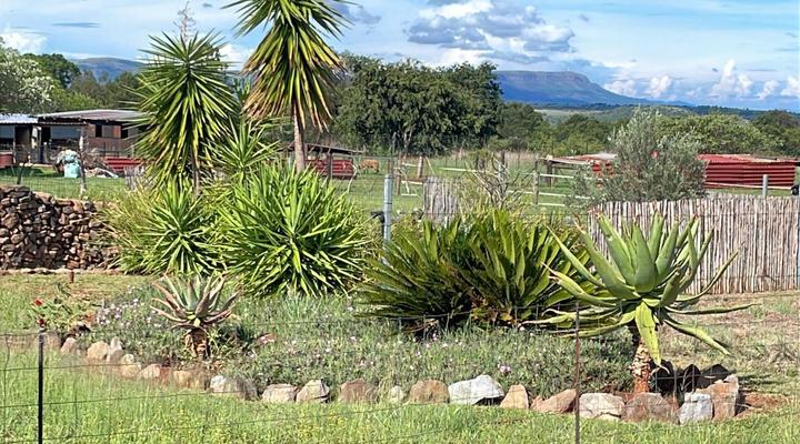 Sanctuary Life Guest Farm