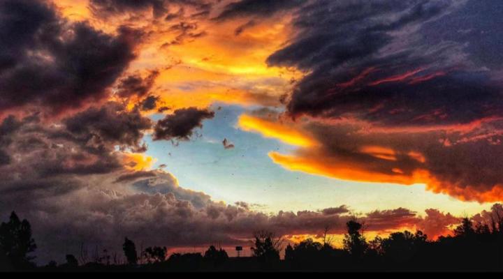 Sanctuary Life Guest Farm