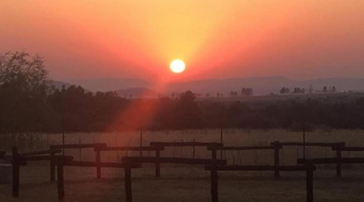 Sanctuary Life Guest Farm